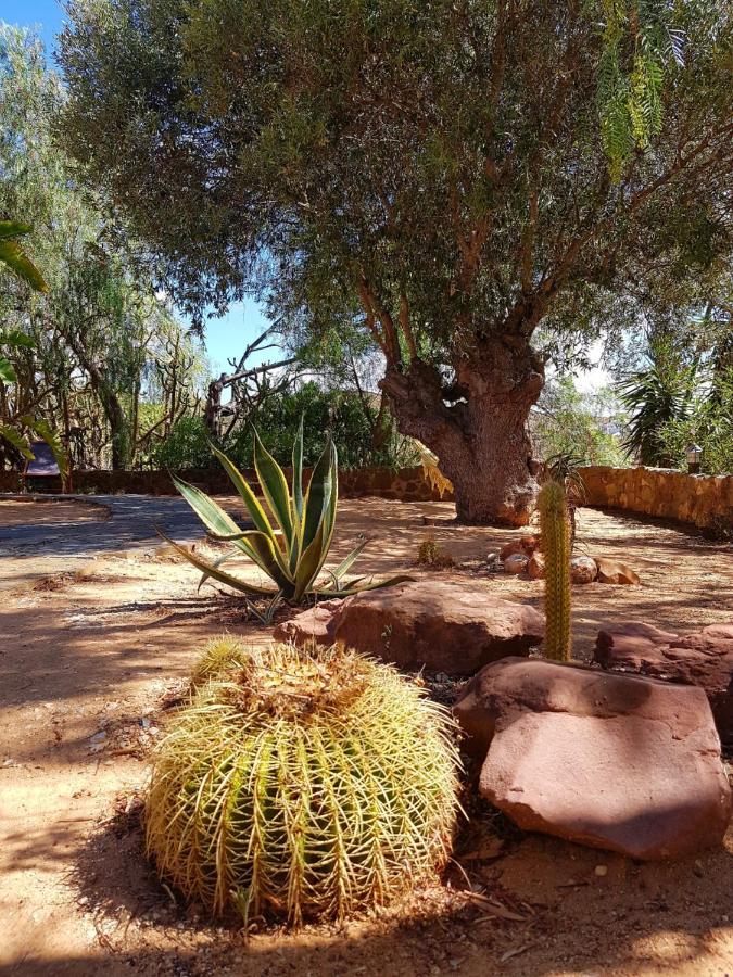 Gato Preto De Silves - Adults Only Bed and Breakfast Eksteriør billede